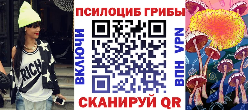 цены   Котельники  Псилоцибиновые грибы мицелий 