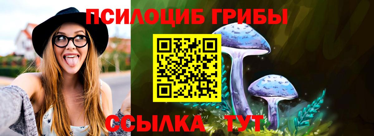 Котельники  Галлюциногенные грибы Magic Shrooms  Вход с VPN 